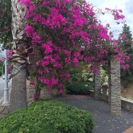 S - Wonderful On The Villa *