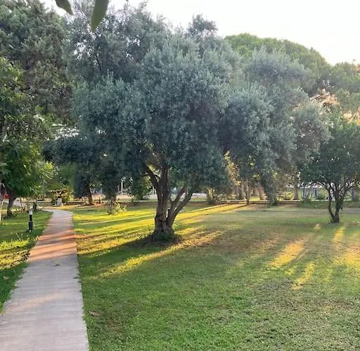 Villa S - Wonderful On The Antalya
