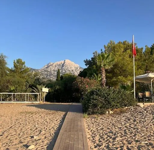 Villa S - Wonderful On The *