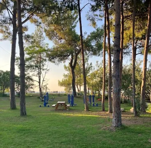 S - Wonderful On The Antalya